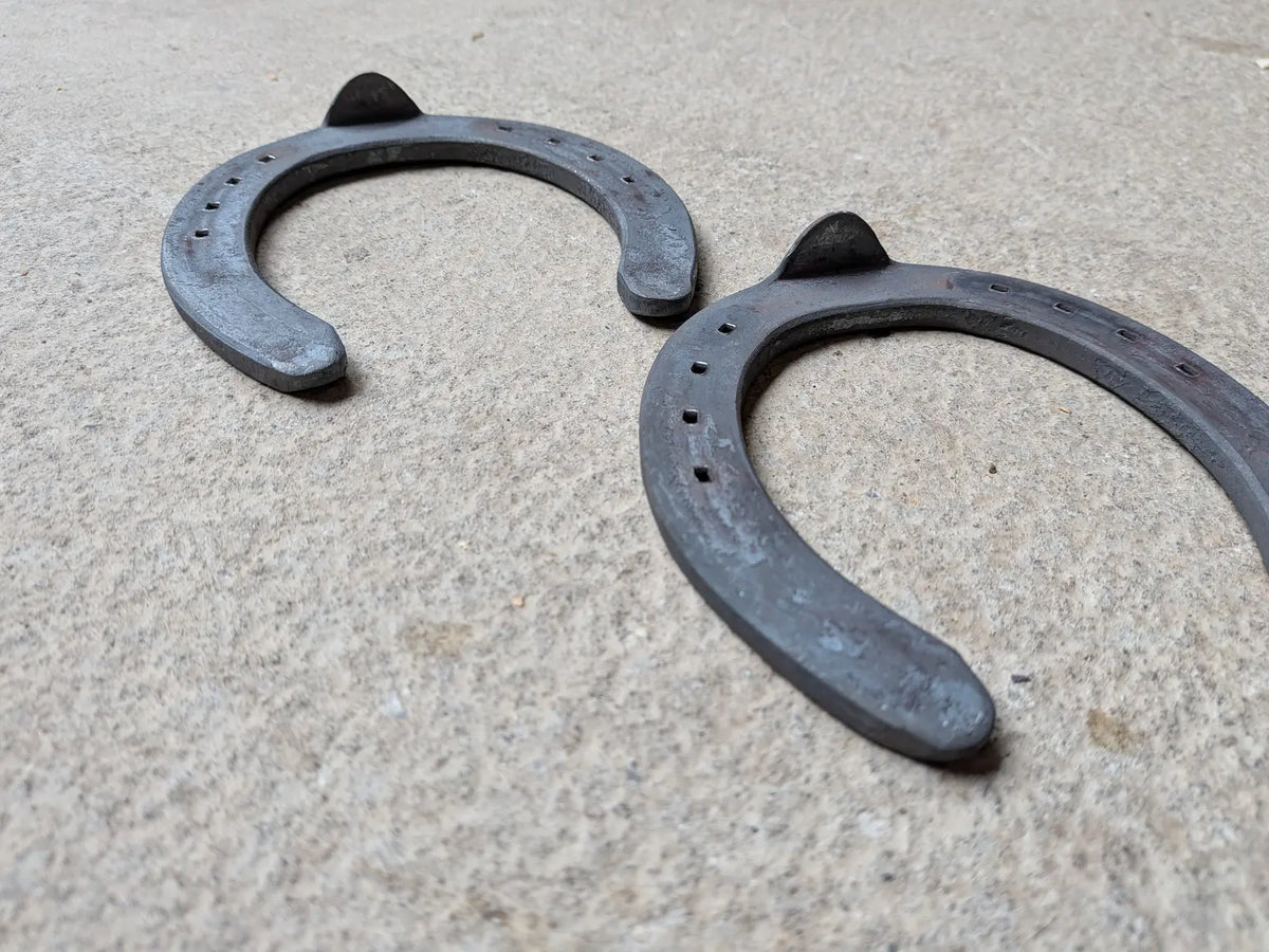 Fers DF Avant Toe Clip – La Boutique SMF