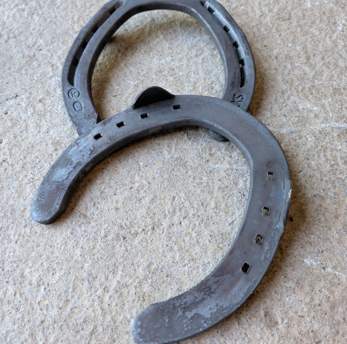 Fer à cheval Kerckhaert SX-7 avec Clip — fournitures de maréchalerie professionnelles boutique SMF