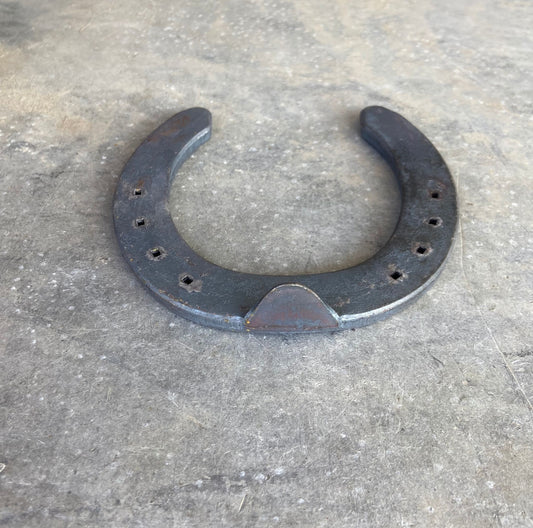 Fer à cheval St-Laurent Saddle Line en acier pour maréchalerie professionnelle et ajustement précis du sabot