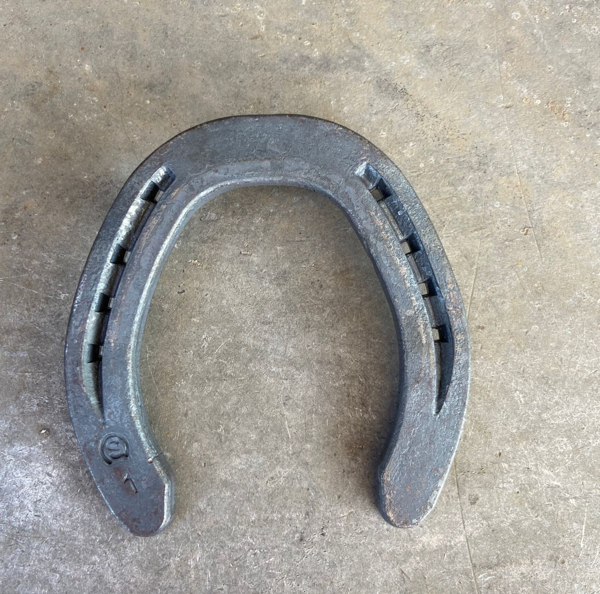 Vue du fer à cheval St-Laurent Saddle Line conçu pour s'adapter à différentes morphologies de sabots