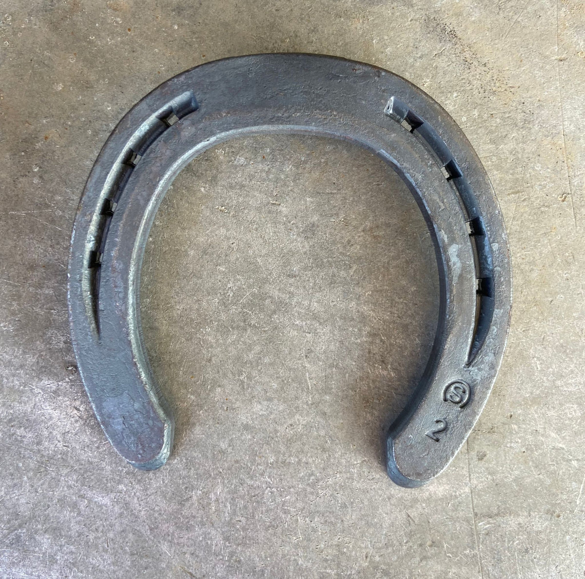 Fer St-Laurent Saddle Line offrant un soutien optimal du sabot pour chevaux de sport, de travail et de loisir